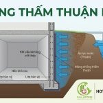 Chống Thấm Thuận Là Gì? Quy Trình Thi Công Đạt Chuẩn Kỹ Thuật Cùng SalaCons